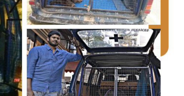 Pet ambulance interior